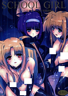 Cover image for the other called Nanoha dj - School Girl