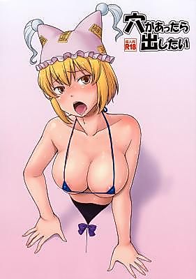 Cover image for the other called Touhou Project dj - If There's a Hole, I Want to Use It!