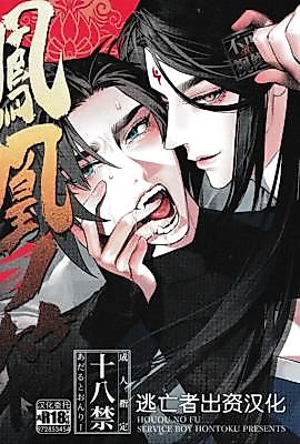 Cover image for the manga called Phoenix Talisman