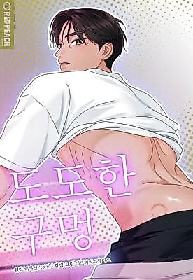 Cover image for the manhwa called Haughty Hole