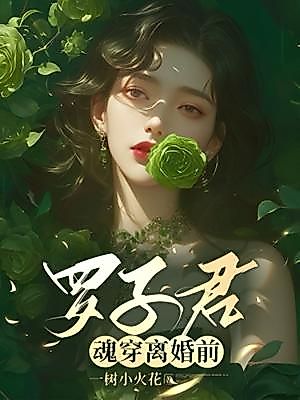 Cover image for the novel called Luo Zijun Rewinds to Before Her Divorce