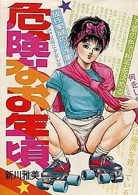 Cover image for the manga called Kiken na Otoshigoro (SHINKAWA Masami)