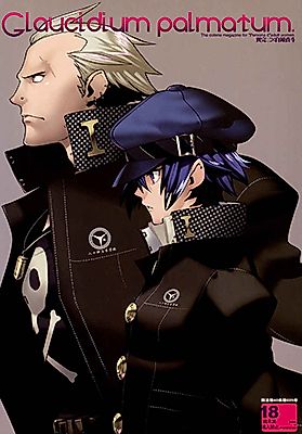 Cover image for the other called Persona 4 dj - Glaucidium Palmatum