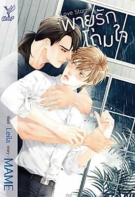 Cover image for the other called Love Storm