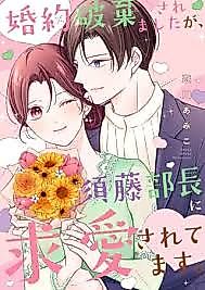 Cover image for the manga called My Engagement Was Broken Off, but Department Chief Sudou Is Courting Me