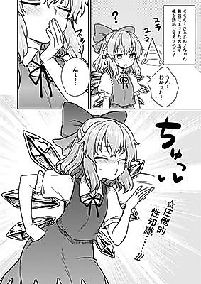 Cover image for the other called Touhou Project dj - Saimin Cirno-chan