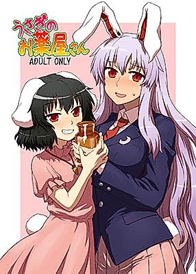 Cover image for the other called Touhou Project dj - Usagi no Okusuriya-san