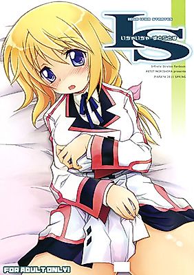 Cover image for the other called Infinite Stratos dj - Icha Icha Stratos