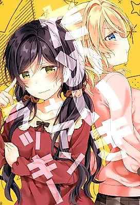 Cover image for the other called Love Live! dj - Tameiki + Unlucky
