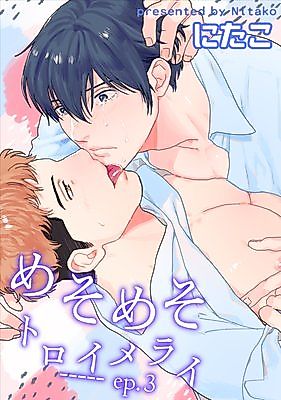 Cover image for the manga called Mesomeso Toroimerai