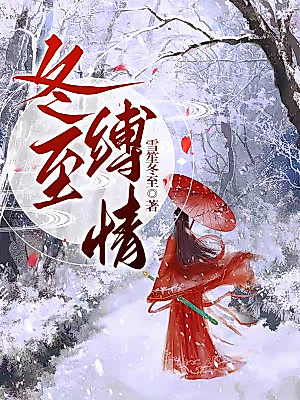 Cover image for the novel called Love Bound by the Winter Solstice