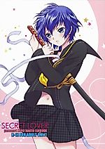 Cover image for the other called Persona 4 dj - Secret Lover