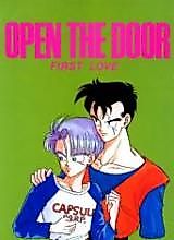 Cover image for the other called Dragon Ball Z dj - Open the Door - First Love