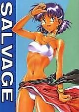 Cover image for the other called Nadia: The Secret of Blue Water dj - Salvage