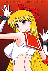 Cover image for the other called Sailor Moon dj - Tubular Bells