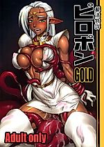 Cover image for the other called Record of Lodoss War dj - Piropon Gold