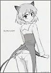 Cover image for the other called Strike Witches dj - Survivor