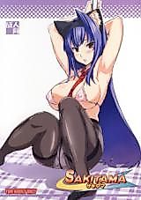 Cover image for the other called Arcana Heart dj - Sakitama