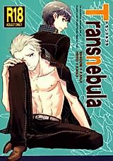 Cover image for the other called Persona 4 dj - Transnebula
