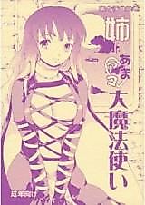 Cover image for the other called Touhou dj - Touhou World Picture Scroll Sis is a Buddhist Amateur Great Magician