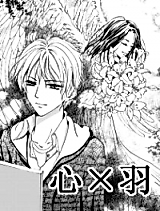 Cover image for the manhua called Heart and Feather