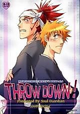 Cover image for the other called THROW DOWN!