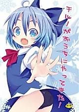 Cover image for the other called Touhou dj - Cirno ga Ouchi ni Yattekita!