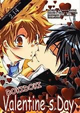 Cover image for the other called 家庭教師ヒットマンREBORN! - Doki Doki Valentine's Day