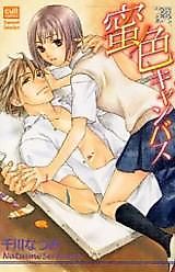 Cover image for the manga called Honey-colored Canvas