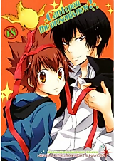 Cover image for the other called 家庭教師ヒットマンREBORN! - Can I Open the Presents Now?