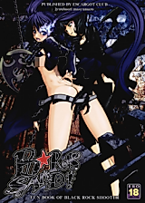 Cover image for the other called Black Rock Shooter dj - B★rs Sand!