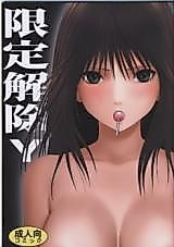 Cover image for the other called Hatsukoi Limited dj - Gentei Kaijo