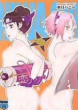 Cover image for the other called Naruto dj - Ninja Girl's Diary