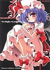 Cover image for the other called Touhou dj - Twilight Syndrome