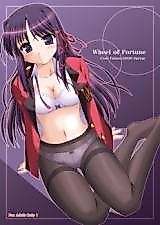Cover image for the other called Fortune Arterial dj - Wheel of Fortune