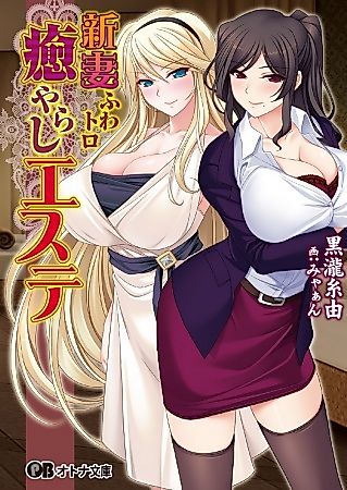 Cover image for the novel called Niizuma Fuwa-Toro Iyarashi Aesthetic