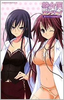 Cover image for the novel called Enjoi: Dokidoki Kenshuui-hen