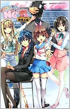 Cover image for the novel called DameKoi