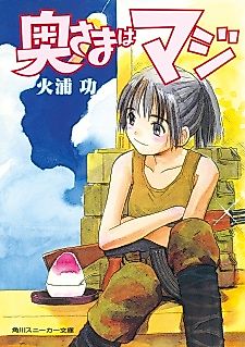 Cover image for the novel called Okusama wa Maji