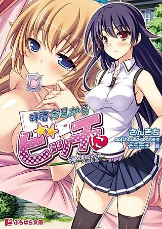 Cover image for the novel called Haikei, Kyou kara Bitch ni Narimasu