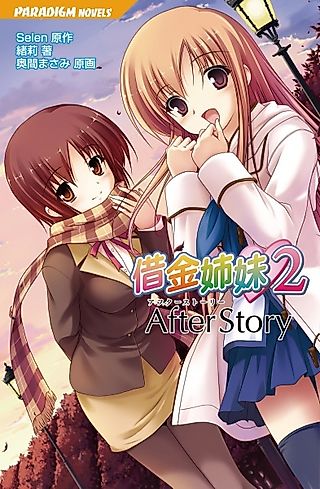 Cover image for the novel called Shakkin Shimai 2: After Story