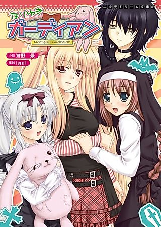 Cover image for the novel called Nariyuki Guardian