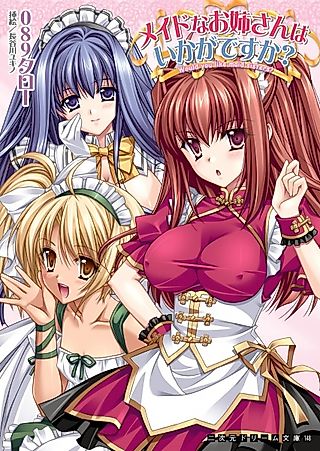 Cover image for the novel called Would you like maid sisters?