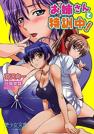 Cover image for the novel called Oneesan to Tokkunchuu!