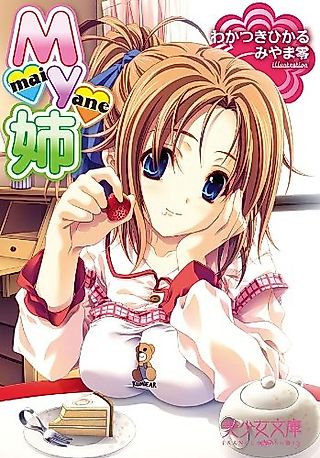 Cover image for the novel called My Ane