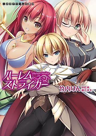 Cover image for the novel called Harem Striker