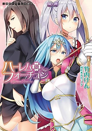 Cover image for the novel called Harem Fortune