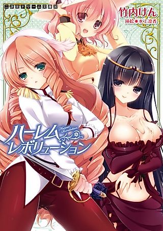 Cover image for the novel called Harem Revolution