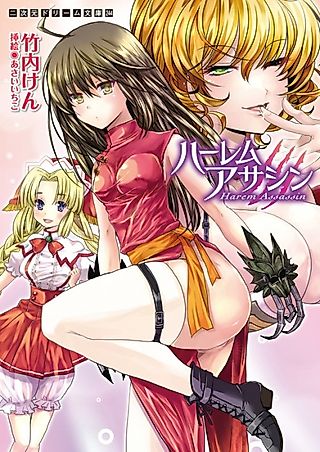 Cover image for the novel called Harem Assassin