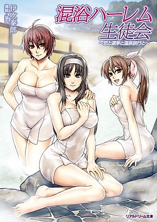 Cover image for the novel called Konyoku harem wish Students union
